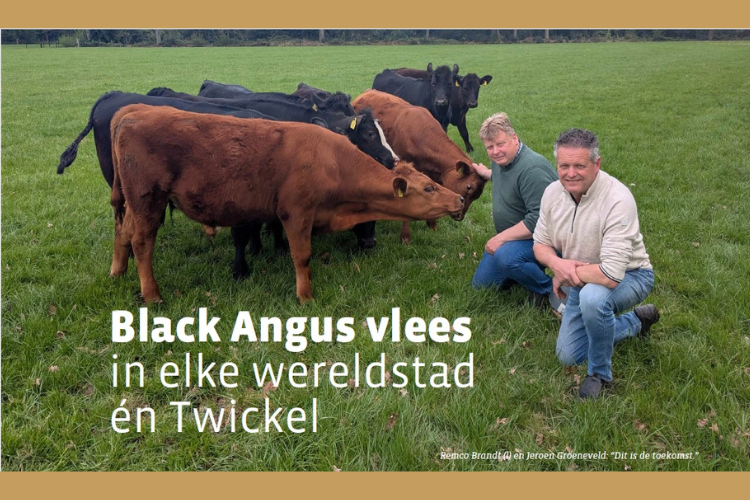 Ontwerp zonder titel (25)